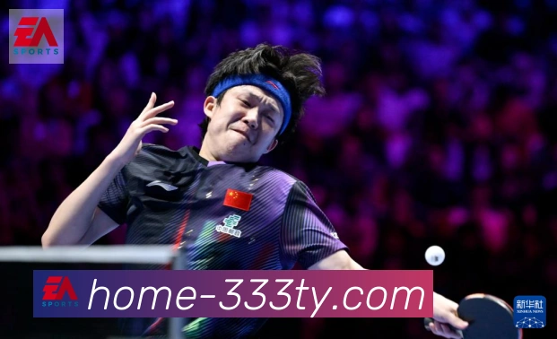 333体育发展历程