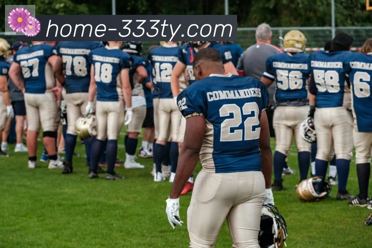 App Interface Preview